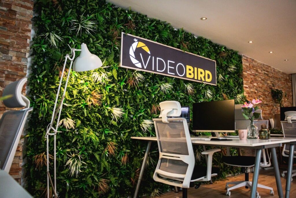 Kantoor Videobird groene wand